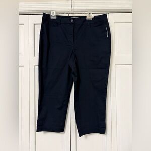 NWT Talbots Simply Flattering Cropped Skimmer Pants Size 14 Indigo Blue